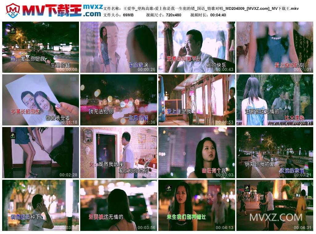 王爱华_望海高歌-爱上你是我一生犯的错_国语_情歌对唱_MD204009